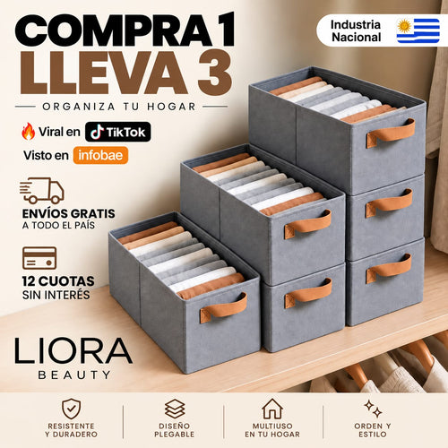 Organizadores de Ropa Plegables (Comprá 1 y lleváte 3)