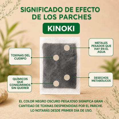 Parches Kinoki Detox Liora Beauty™ | El Secreto Viral para Reducir la Hinchazón
